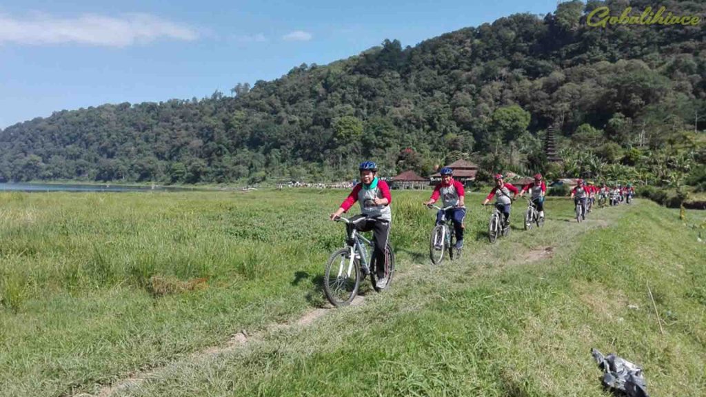 Gobalihiace - Cycling