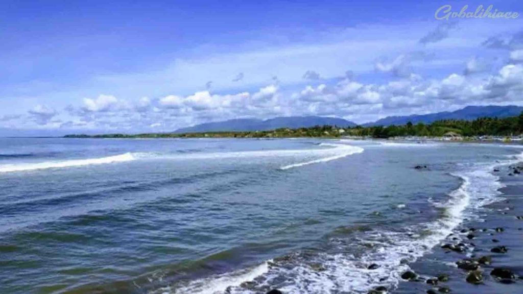 Pantai Medewi Bali Barat dengan ombak panjang untuk surfing