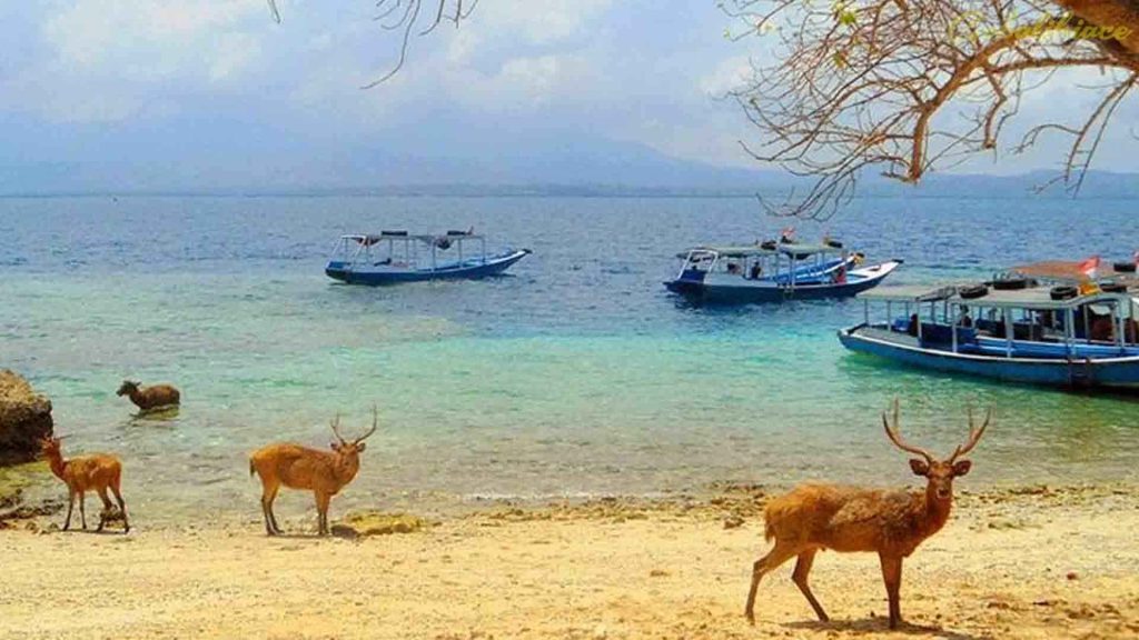 Pulau Menjangan Bali Barat dengan laut biru jernih