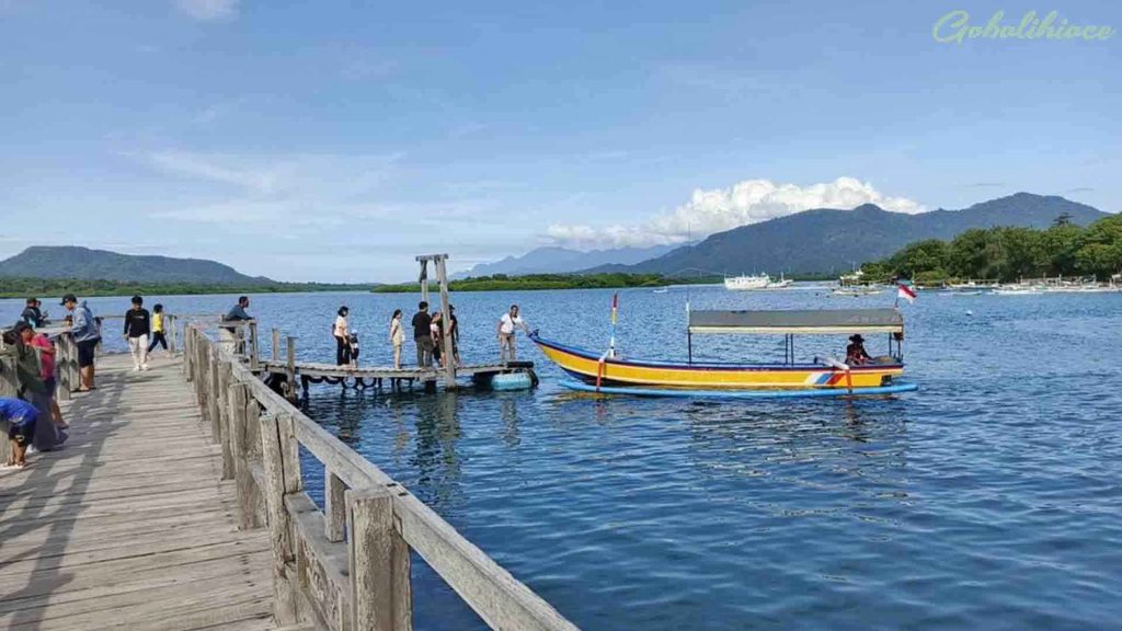 Hutan mangrove di Teluk Gilimanuk Bali Barat